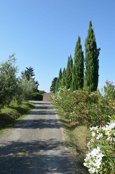 Agriturismo Rosa dei Venti Pomarance Esterno foto
